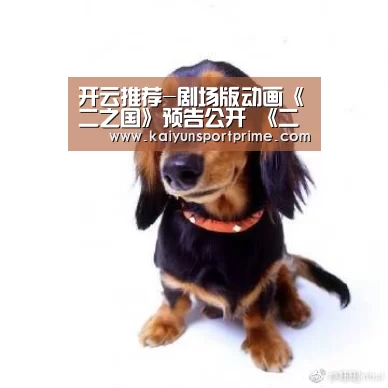 开云赛事