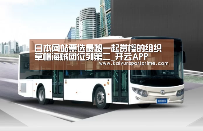 开云入口